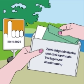Slider_Wahlen_Abstimmung