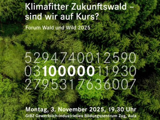 Forum_Wald_Wild_Flyer_4zu3