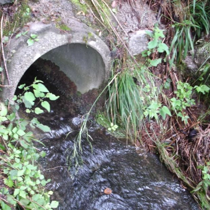 Einleitung von sauberem Abwasser in ein Gewässer