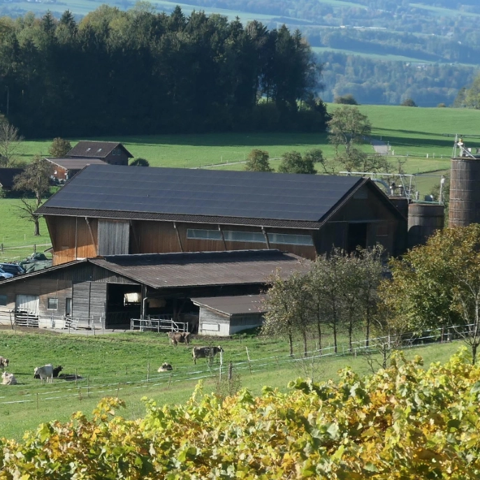 Solaranlage Niederwil