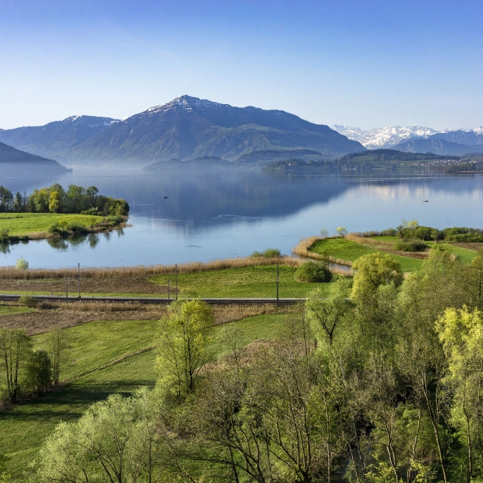 Titelbild Zugersee Rigi