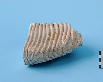 03.12.2018_MM_Bild 4