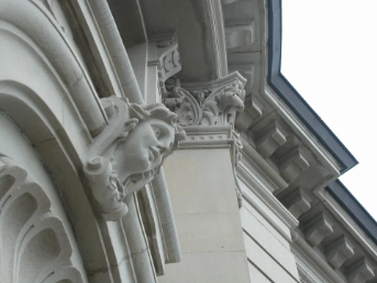 Ansicht der Puten von unten