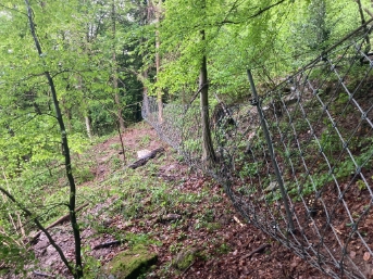 Bild 2: Steinschlagschutznetz