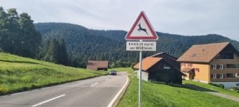  Ein elektronisches Wild-Warnsystem warnt Fahrzeuglenkerinnen und -lenker, wenn sich ein Tier in der Nähe der Strasse befindet.