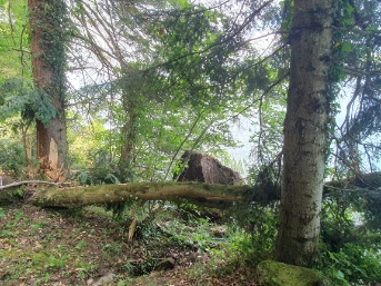 Foto 2: Abgelagerter grösster Felsblock im Uferbereich