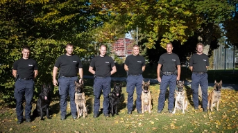 Ike gewinnt die Polizeihundeprüfung 2018