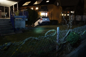 Nächtliche Irrfahrt durch den Vorgarten