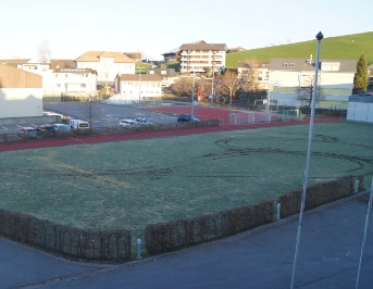 Offroad-​Fahrt über Rasenplatz
