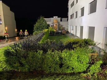 Hecke in Brand geraten