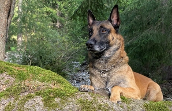 Dartos stoppt Sprayer