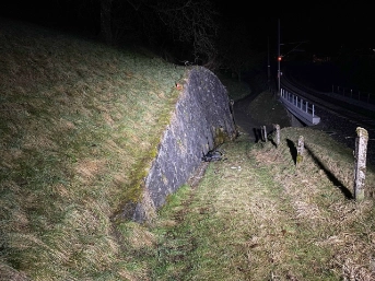 Zweiradlenker stürzt über Mauer und verletzt sich erheblich