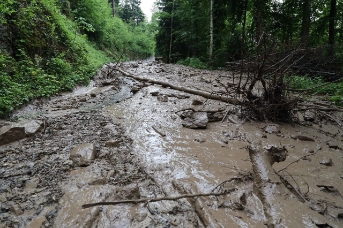 Murgang am Zugerberg