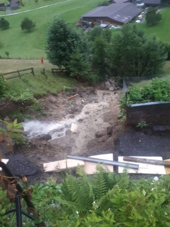 Murgang drang in Garten vor
