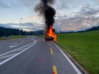 Fahrzeugbrand nach Selbstunfall