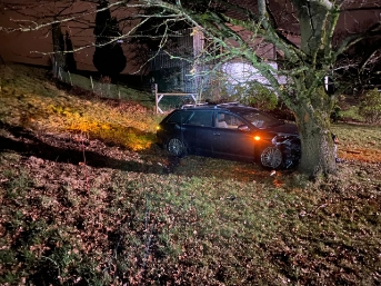 Fahrt endet in Baum