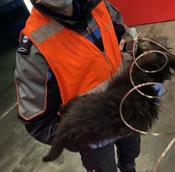 Vollbrand einer Wohnung