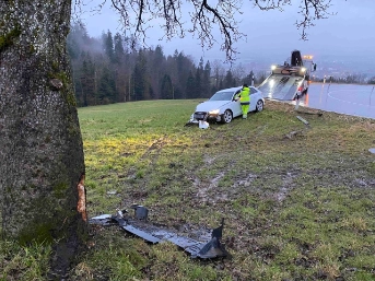 Auto prallt in Baum