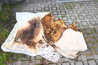 MM123_Kein offenes Feuer, aber starke Rauchentwicklung